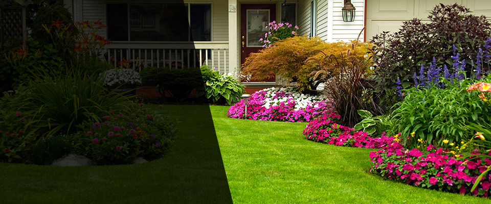 Bedford Hills Landscapers