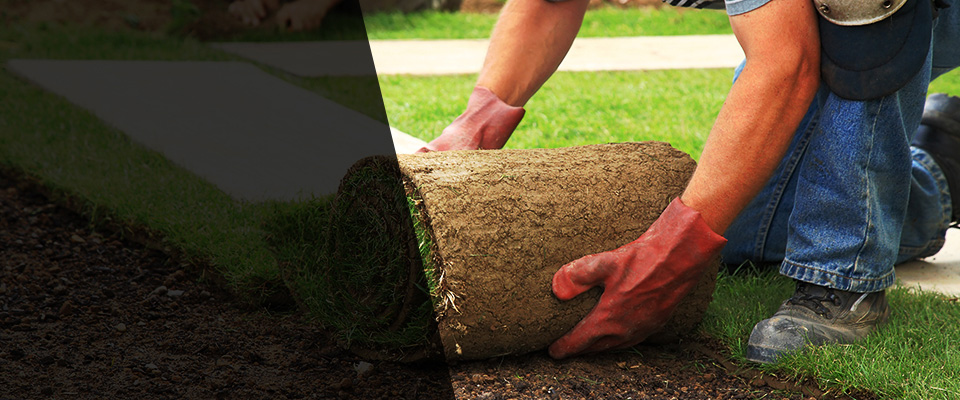 Bedford Hills Landscapers